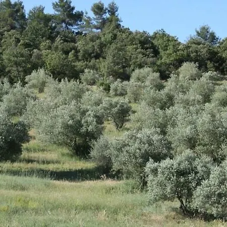 Bed & Breakfast D'hotes La Brunetiere 3*