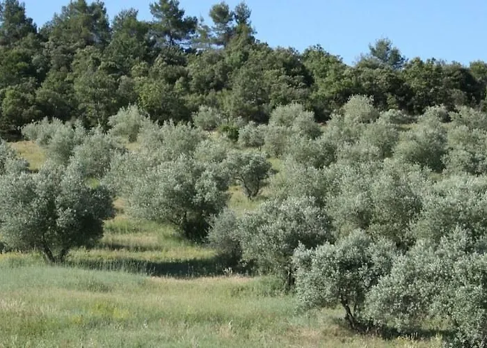 Alojamento de Acomodação e Pequeno-almoço D'hotes La Brunetiere 3*